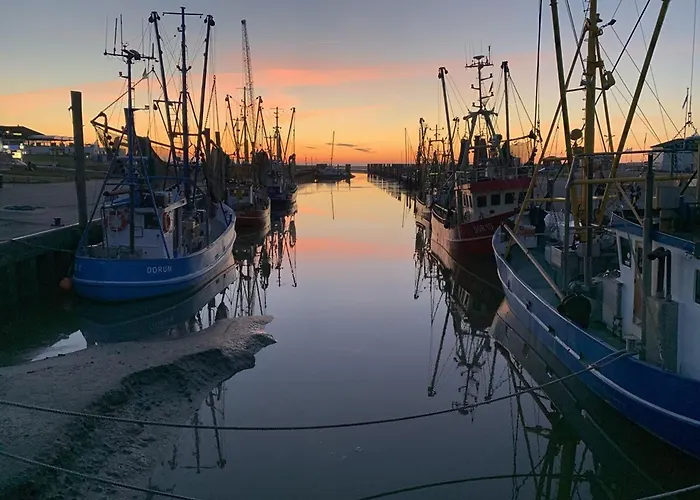 Wat Mutt * دورم نيوفيلد